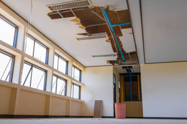 Best Professional water damage repair  in Sunset, LA