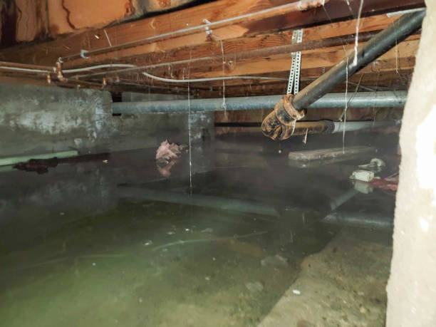 Best Ceiling water damage repair  in Sunset, LA