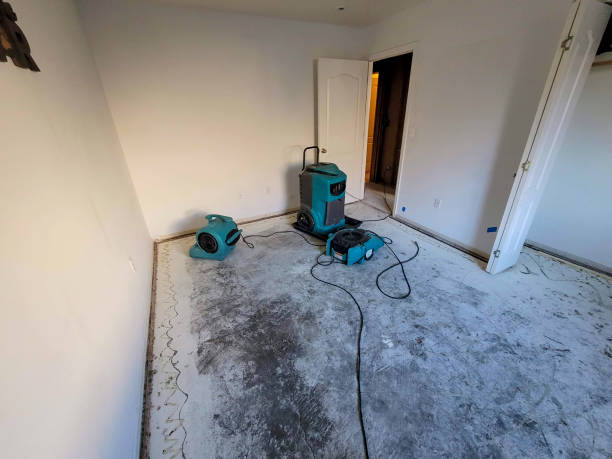 Best 24/7 water damage repair  in Sunset, LA